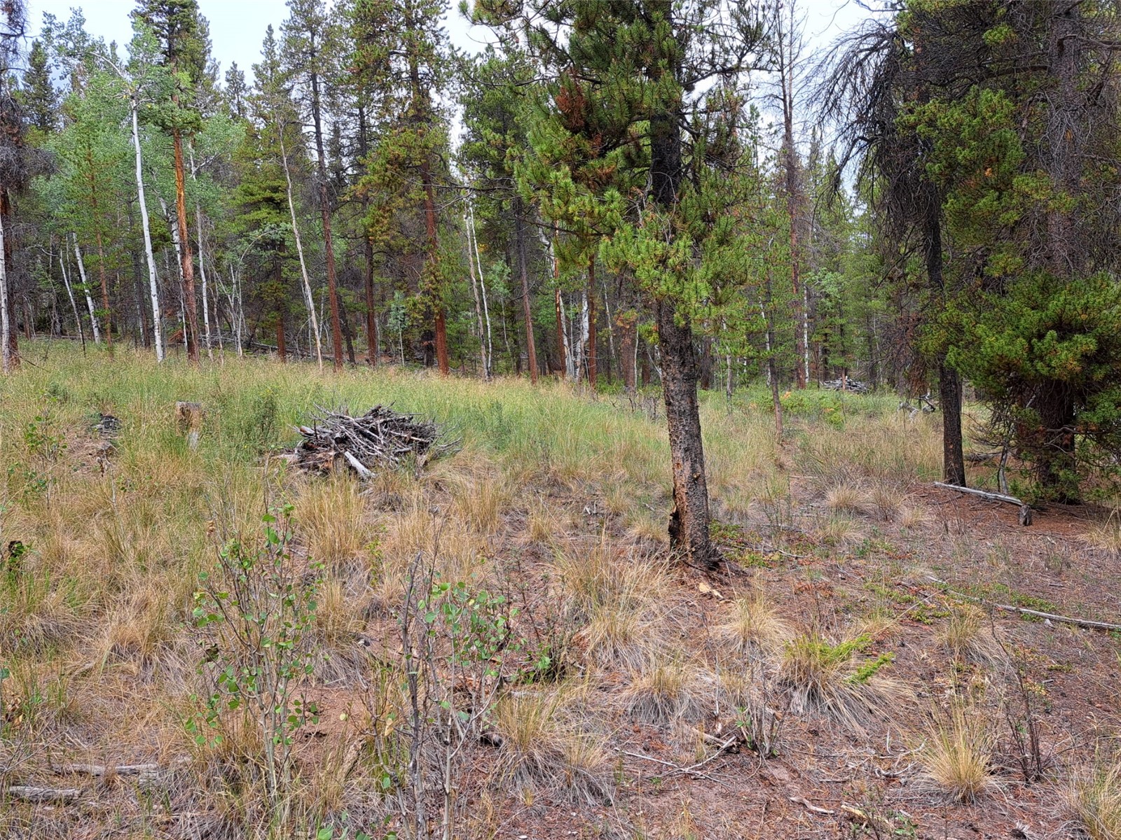 1201 Beaver Creek Road Fairplay CO 80440