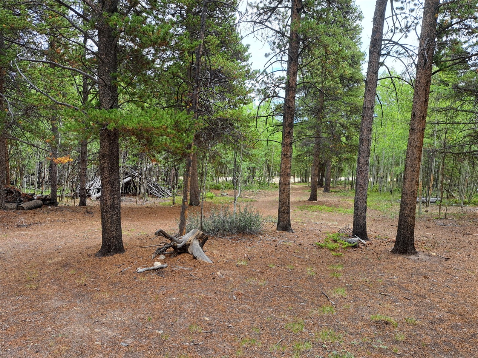 1201 Beaver Creek Road Fairplay CO 80440
