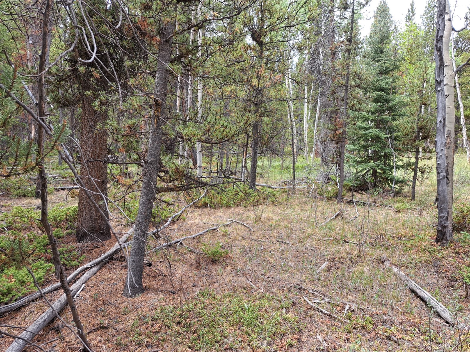 1201 Beaver Creek Road Fairplay CO 80440