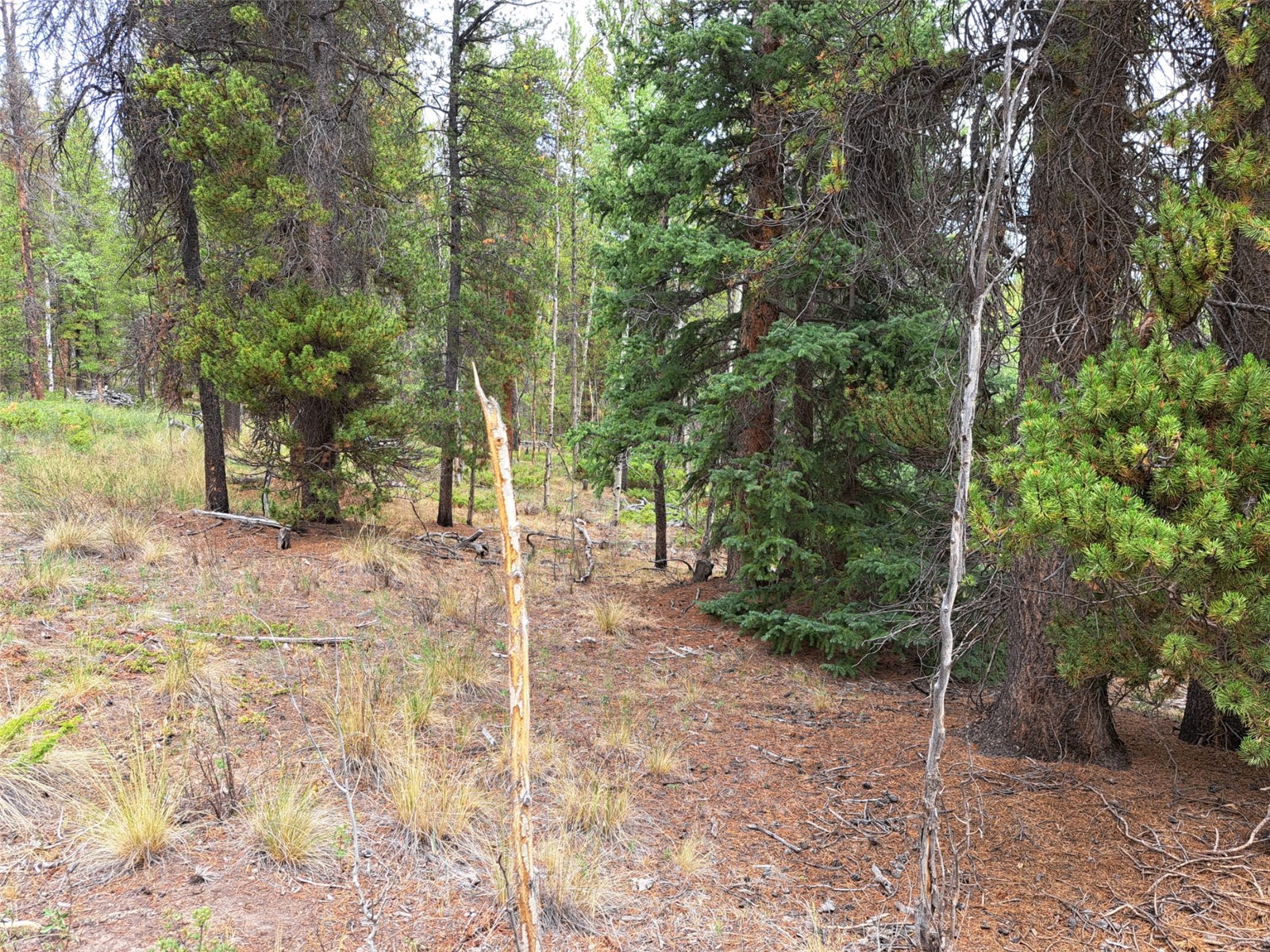 1201 Beaver Creek Road Fairplay CO 80440