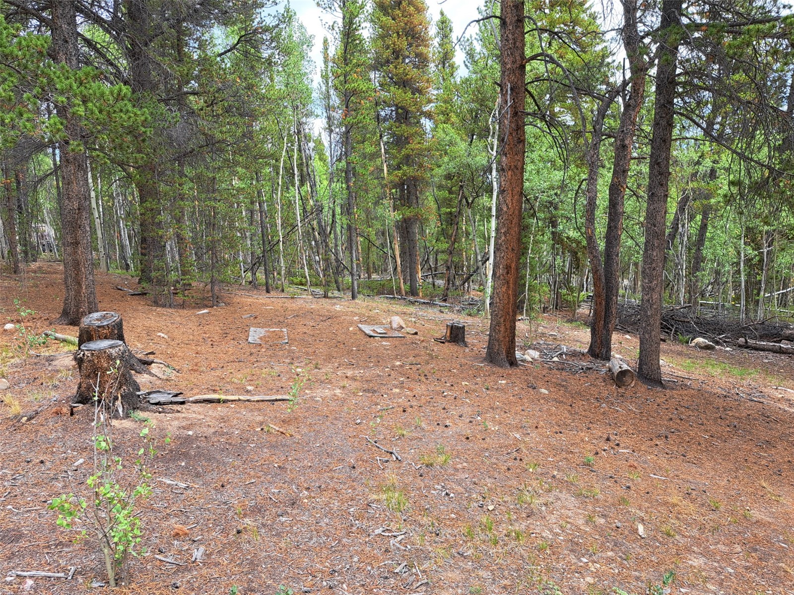 1201 Beaver Creek Road Fairplay CO 80440