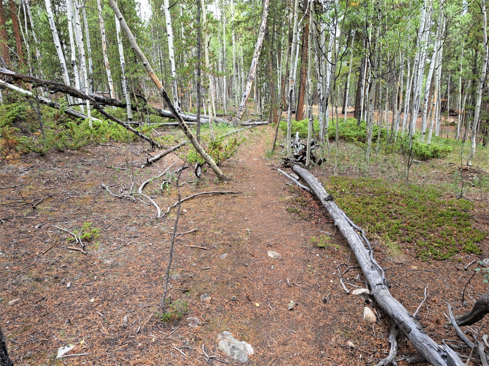 1201 Beaver Creek Road Fairplay CO 80440