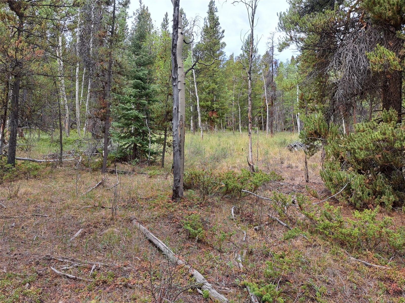 1201 Beaver Creek Road Fairplay CO 80440