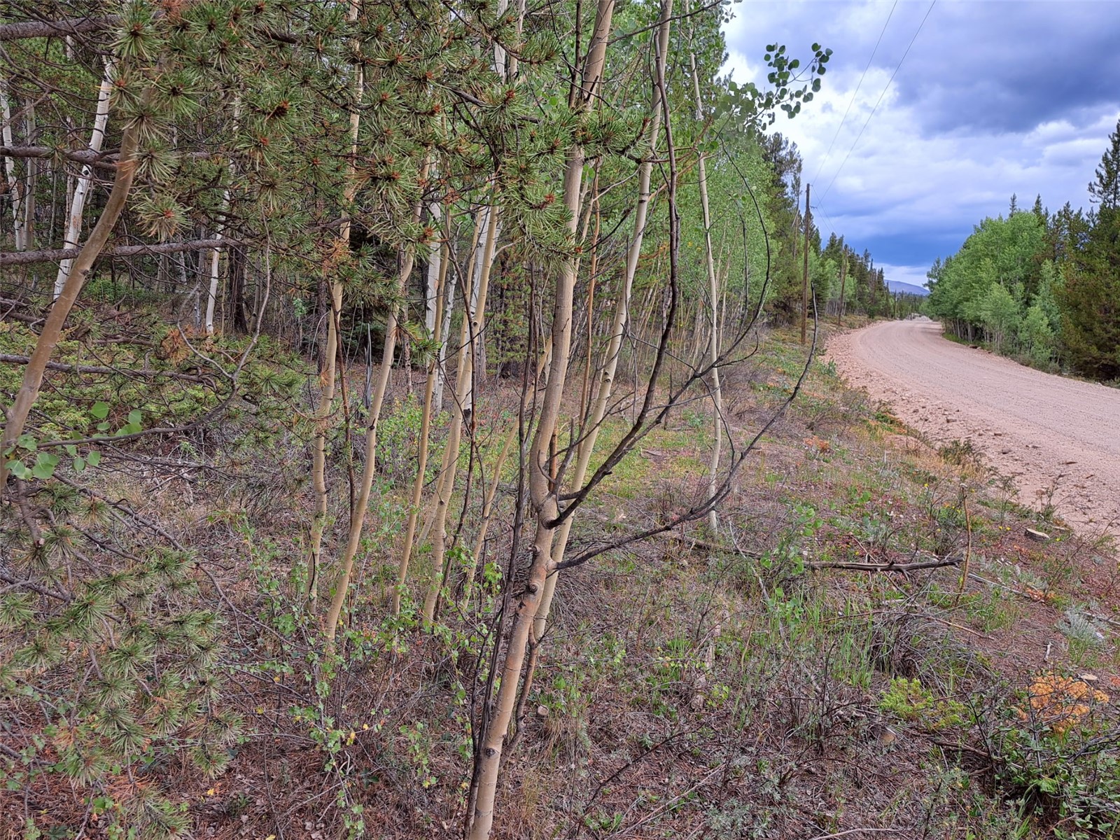 1201 Beaver Creek Road Fairplay CO 80440