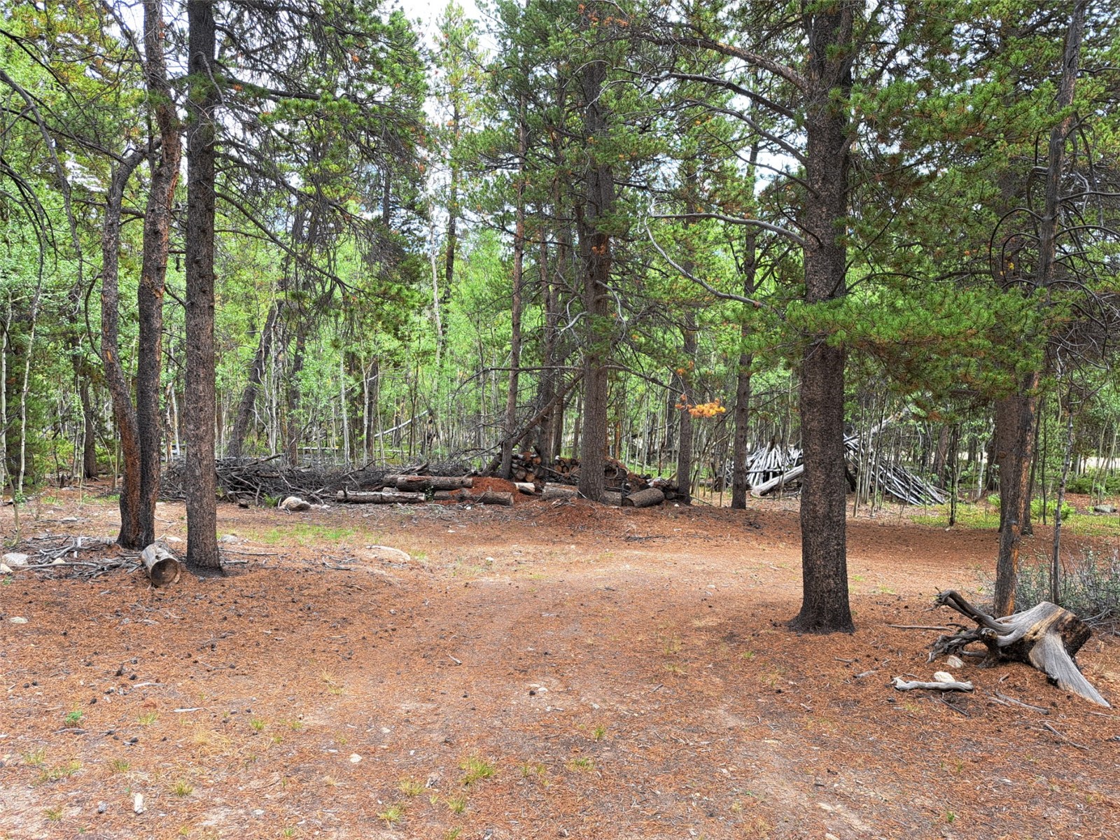 1201 Beaver Creek Road Fairplay CO 80440