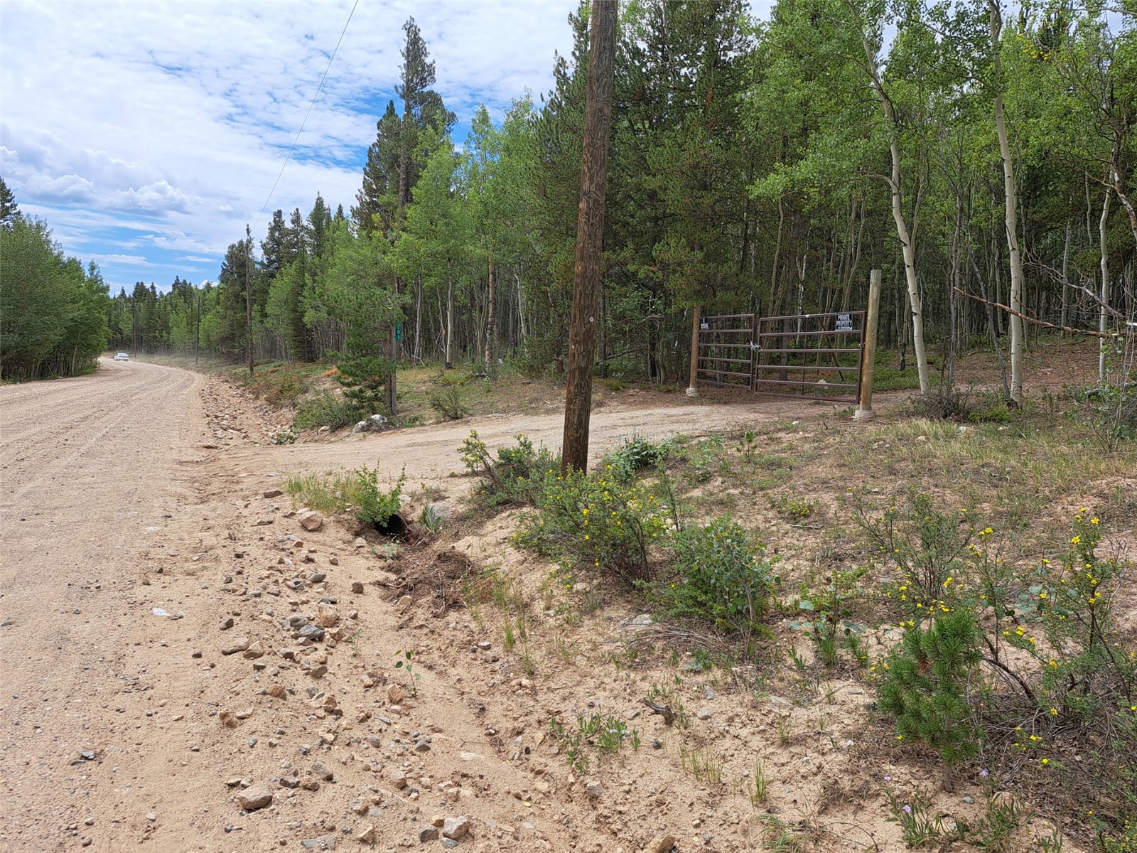 1201 Beaver Creek Road Fairplay CO 80440