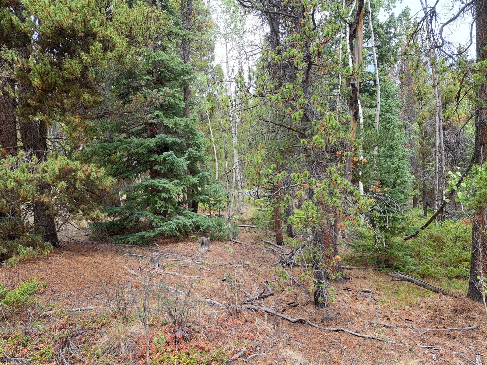 1201 Beaver Creek Road Fairplay CO 80440