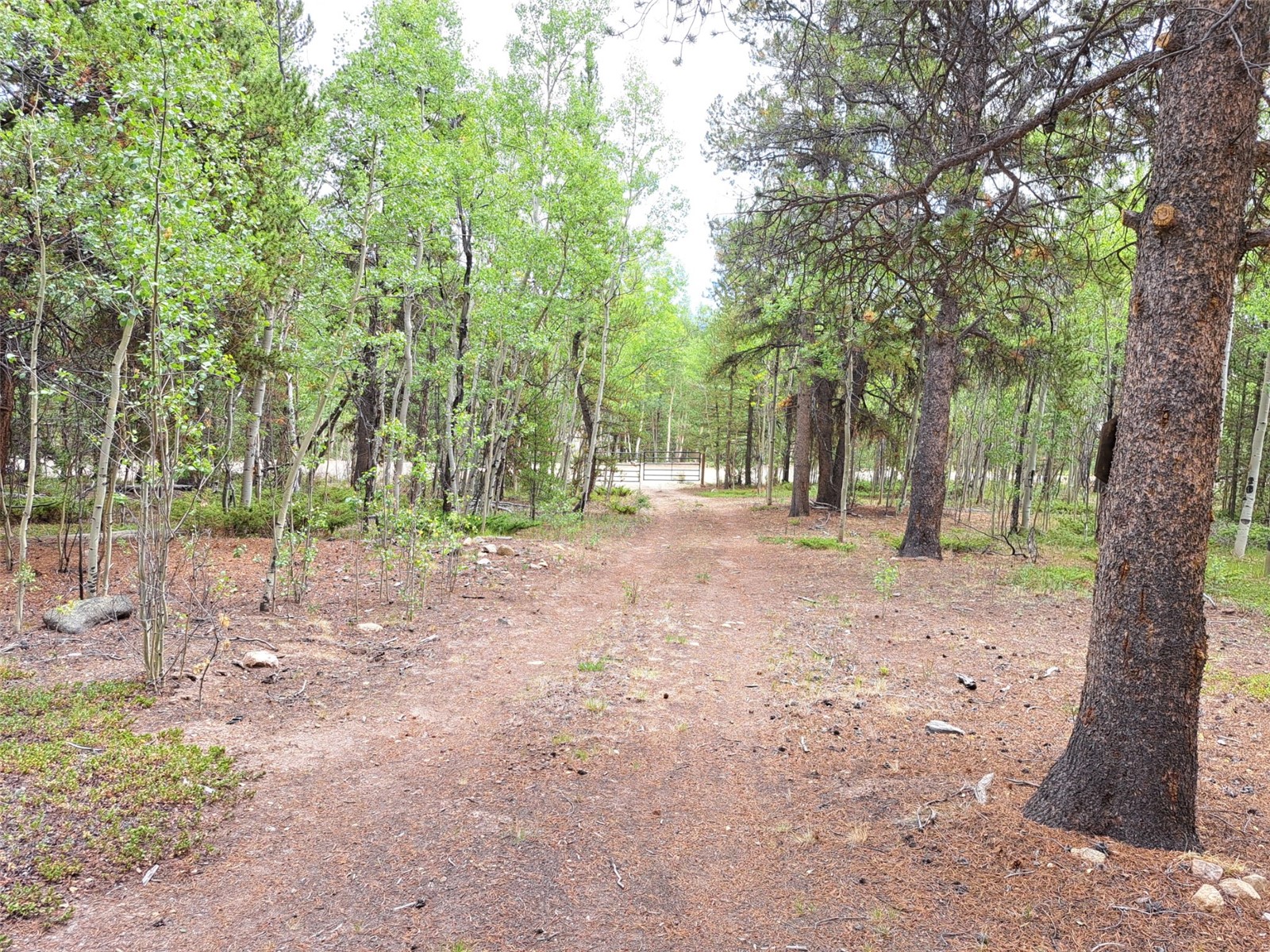 1201 Beaver Creek Road Fairplay CO 80440