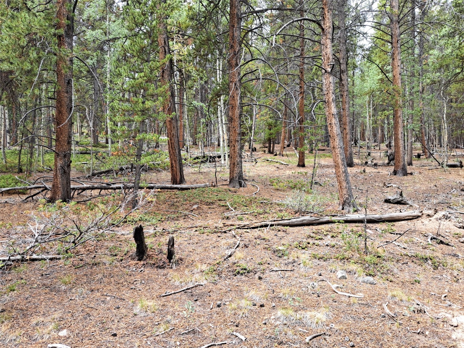 1201 Beaver Creek Road Fairplay CO 80440