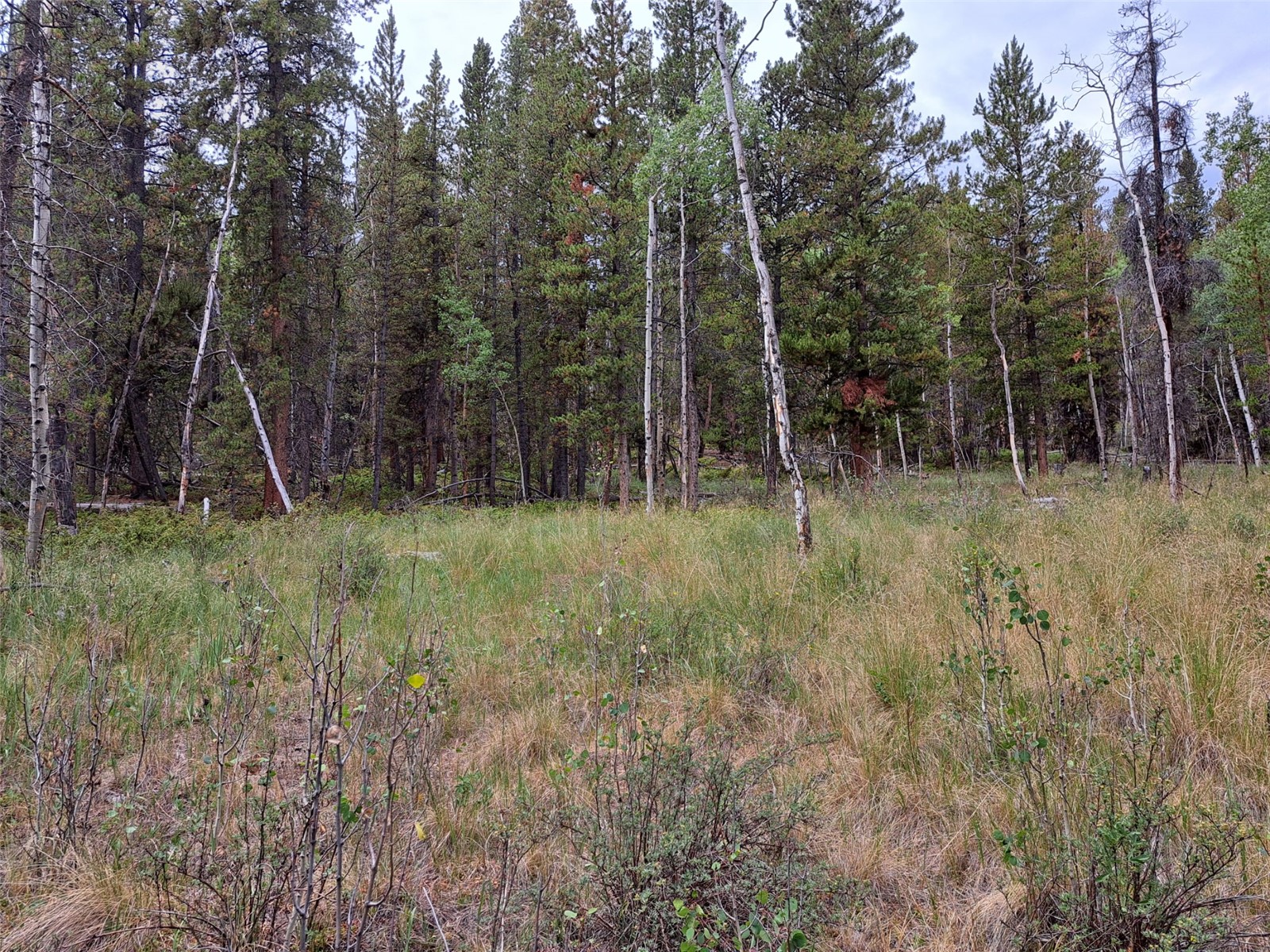 1201 Beaver Creek Road Fairplay CO 80440