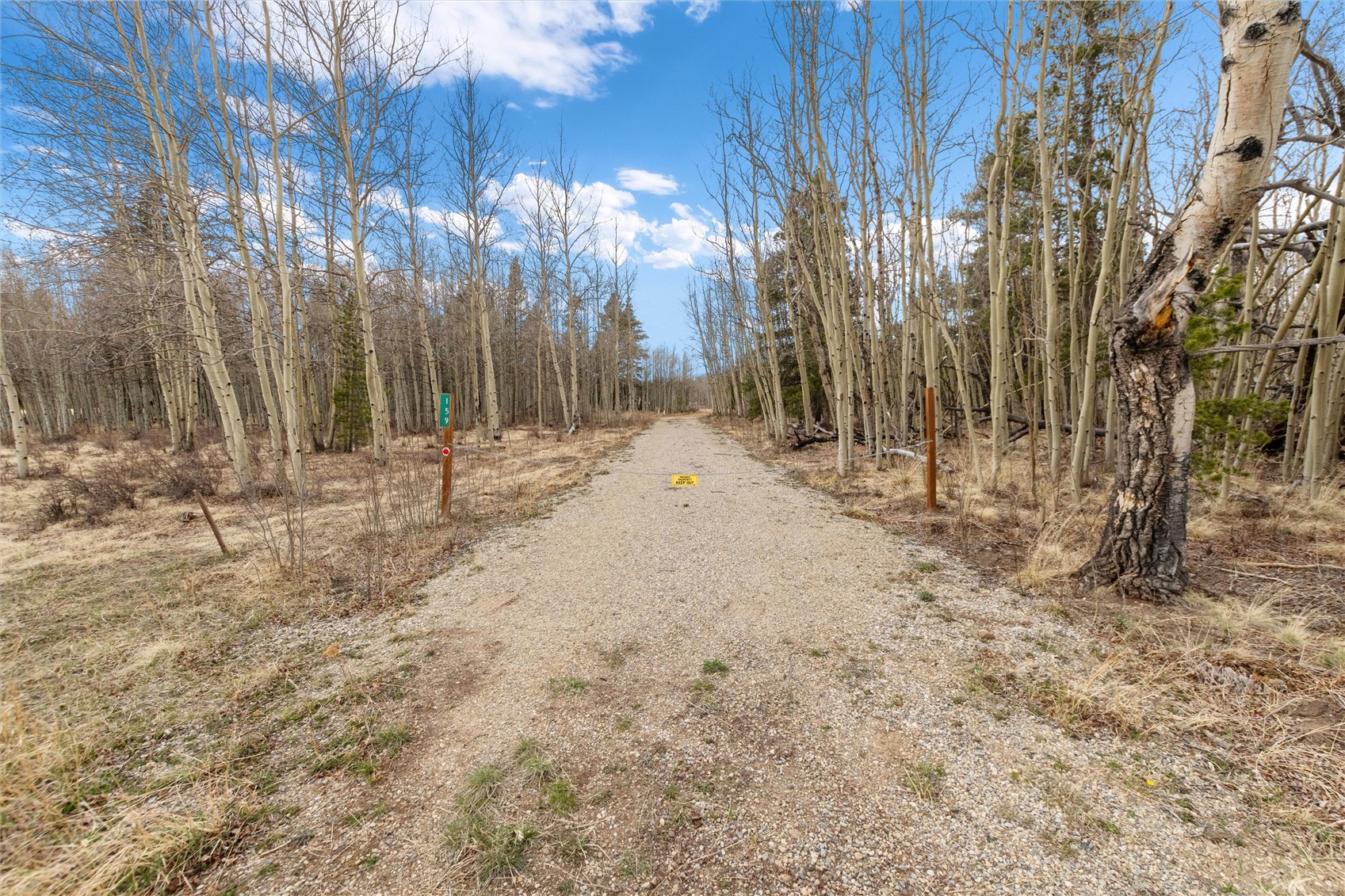 159 Bluestem Court Fairplay CO 80440