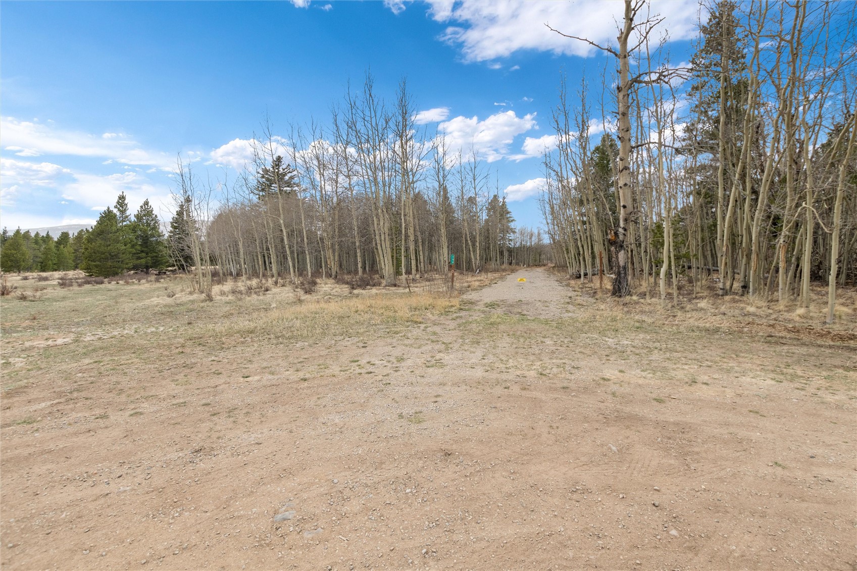 159 Bluestem Court Fairplay CO 80440