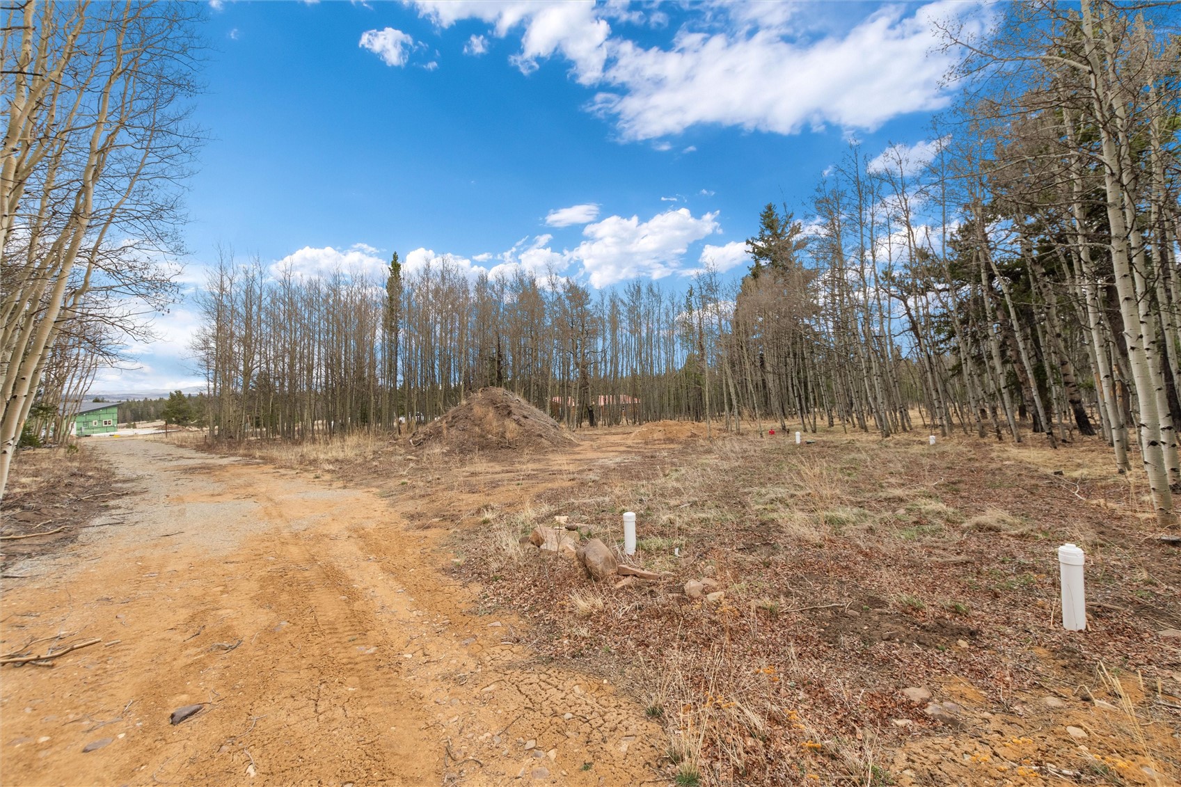 159 Bluestem Court Fairplay CO 80440
