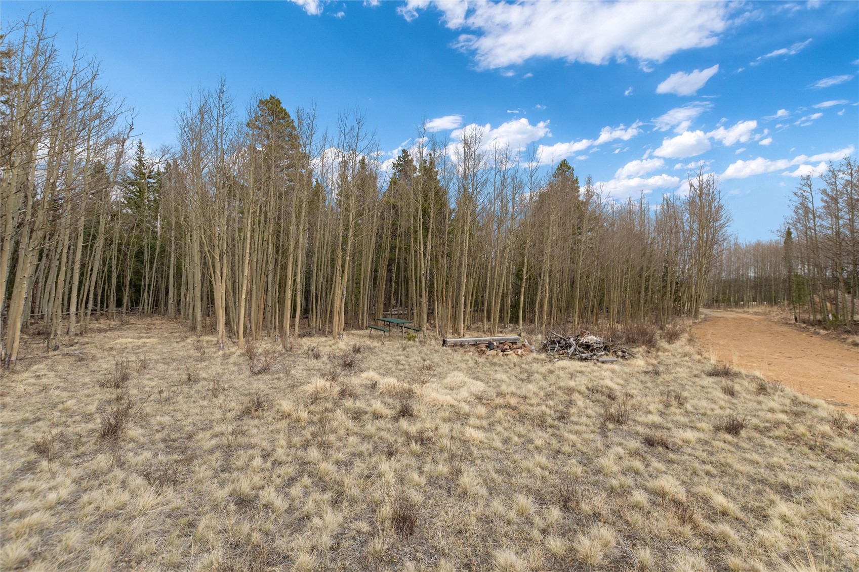 159 Bluestem Court Fairplay CO 80440