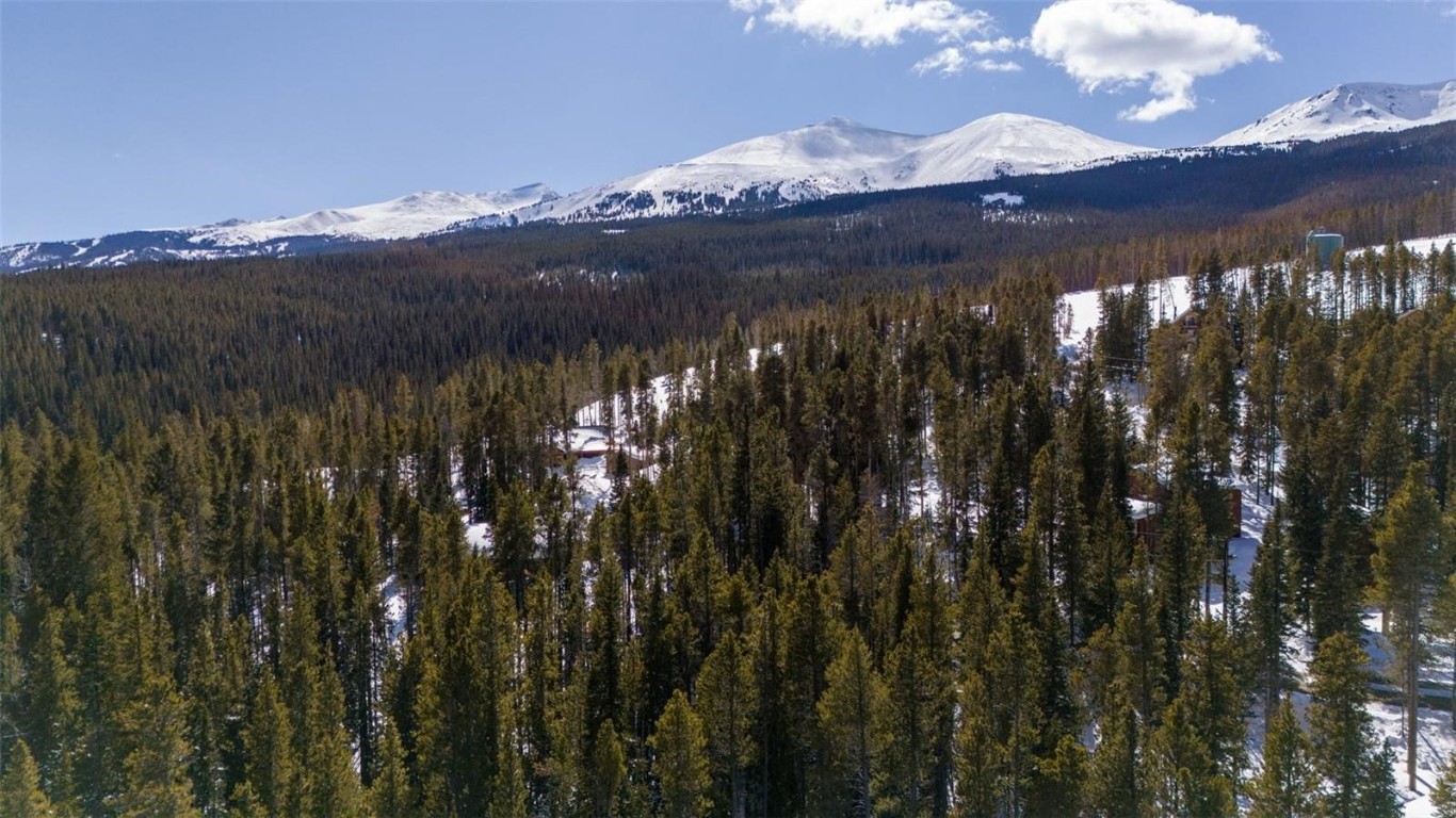 282 Slalom Drive Drive Breckenridge CO 80424