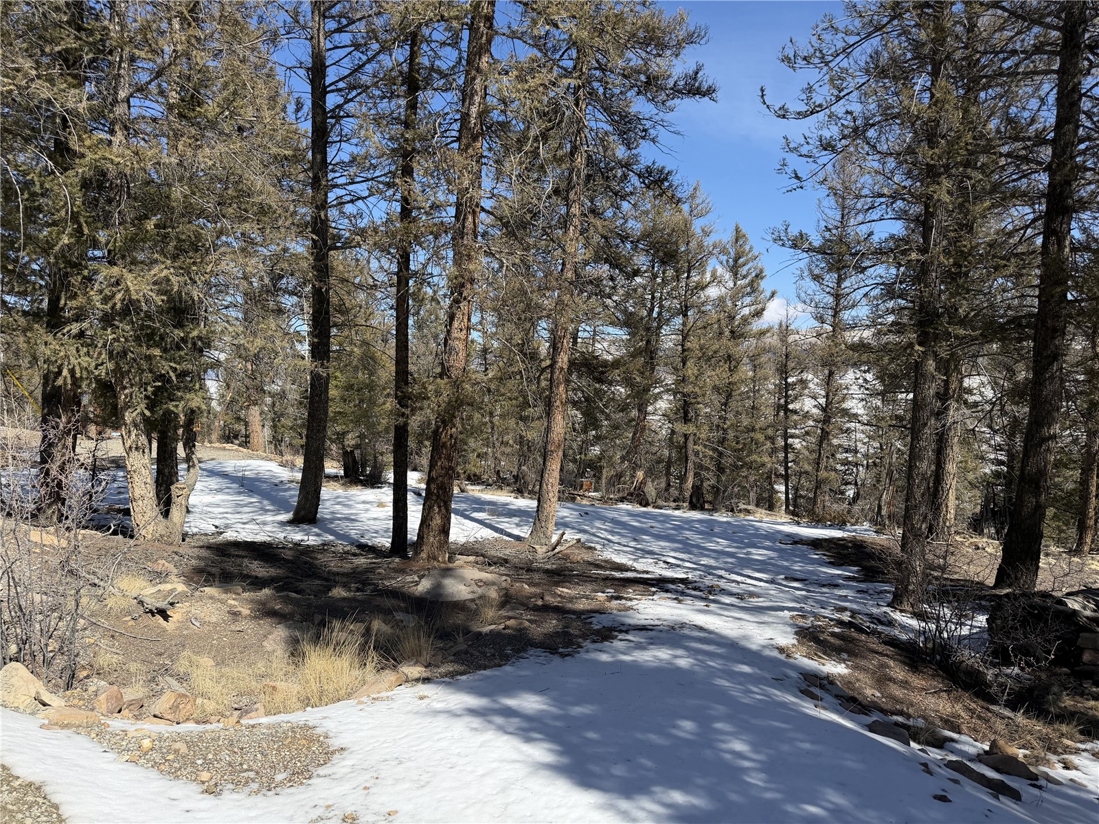 806 Middle Fork Fairplay CO 80440