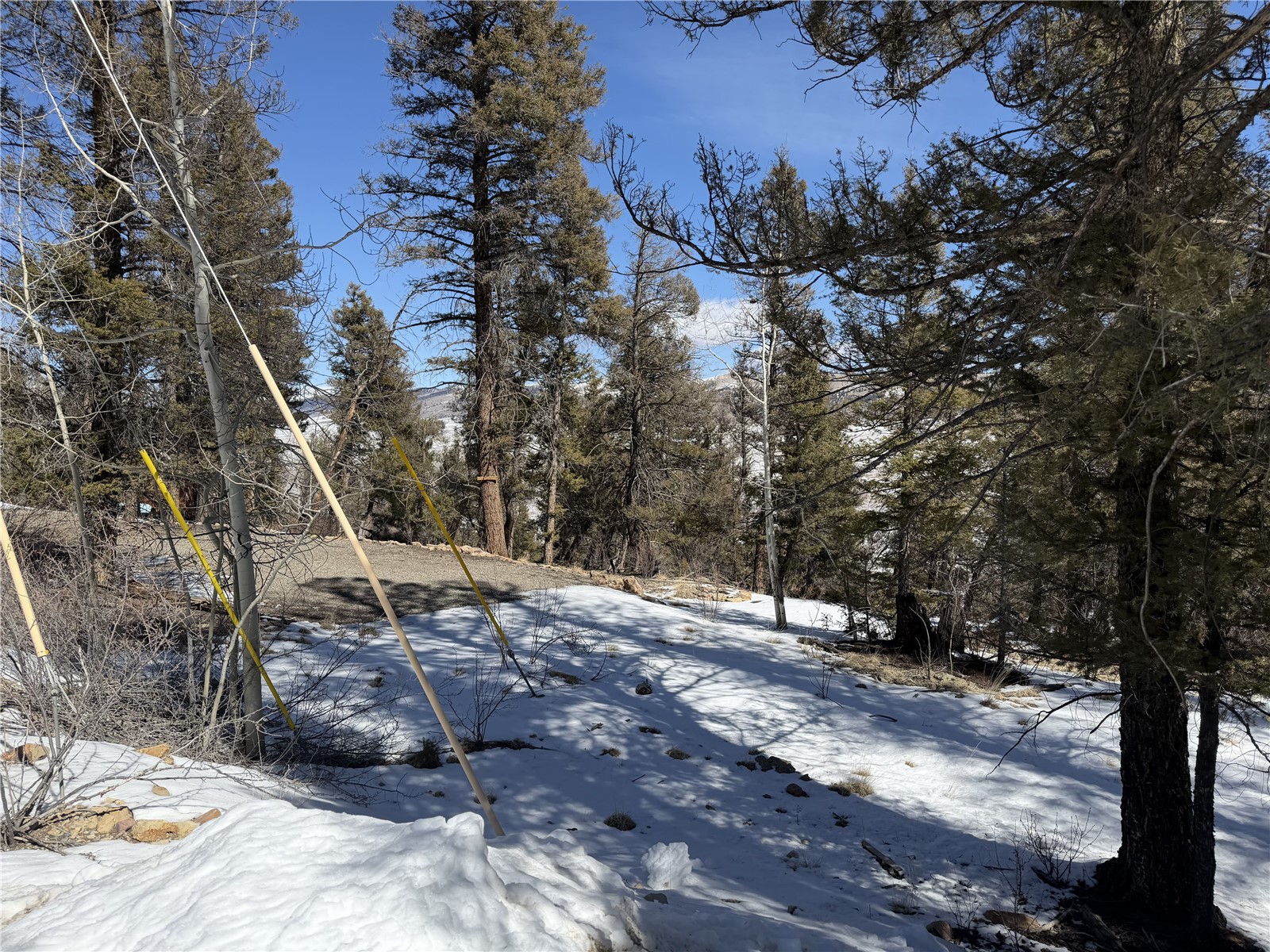 806 Middle Fork Fairplay CO 80440