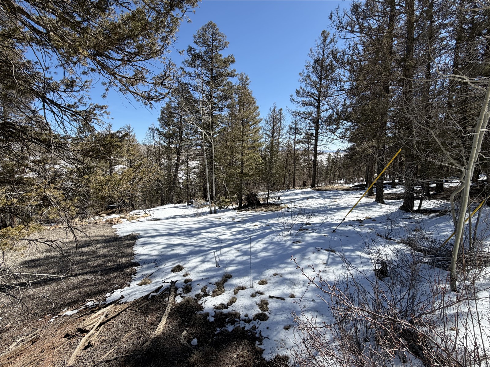 806 Middle Fork Fairplay CO 80440