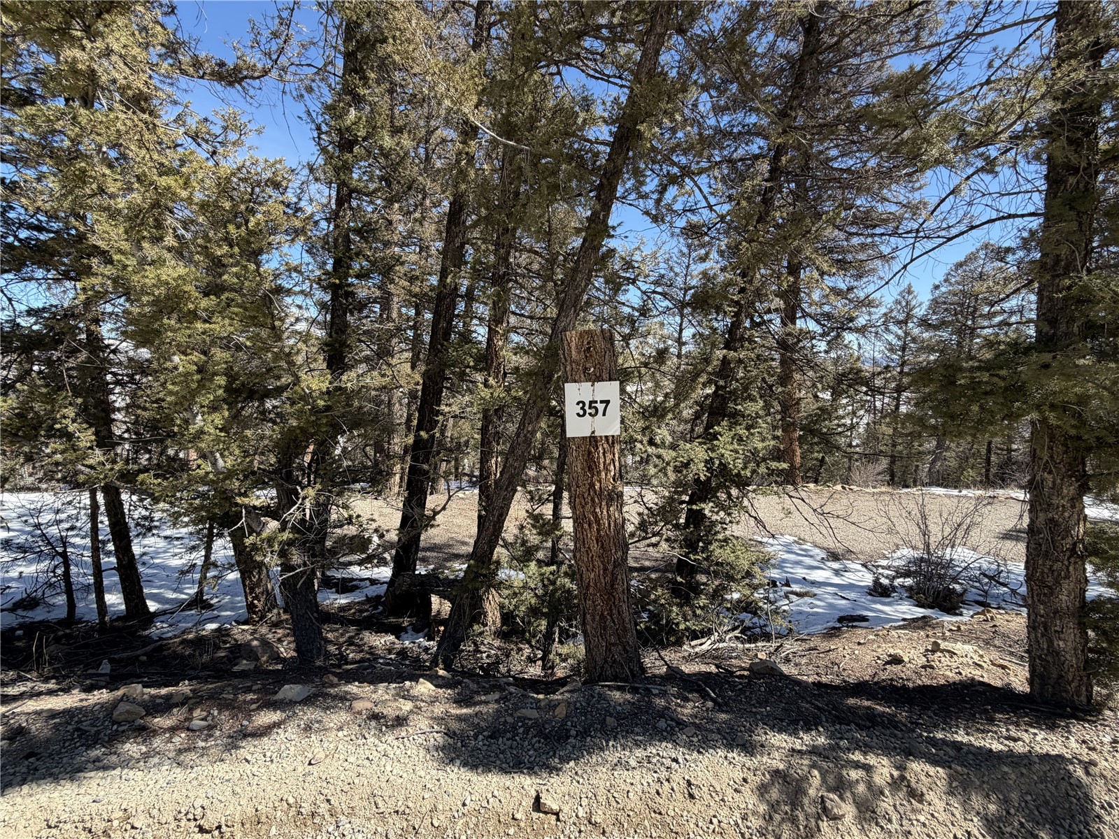 806 Middle Fork Fairplay CO 80440