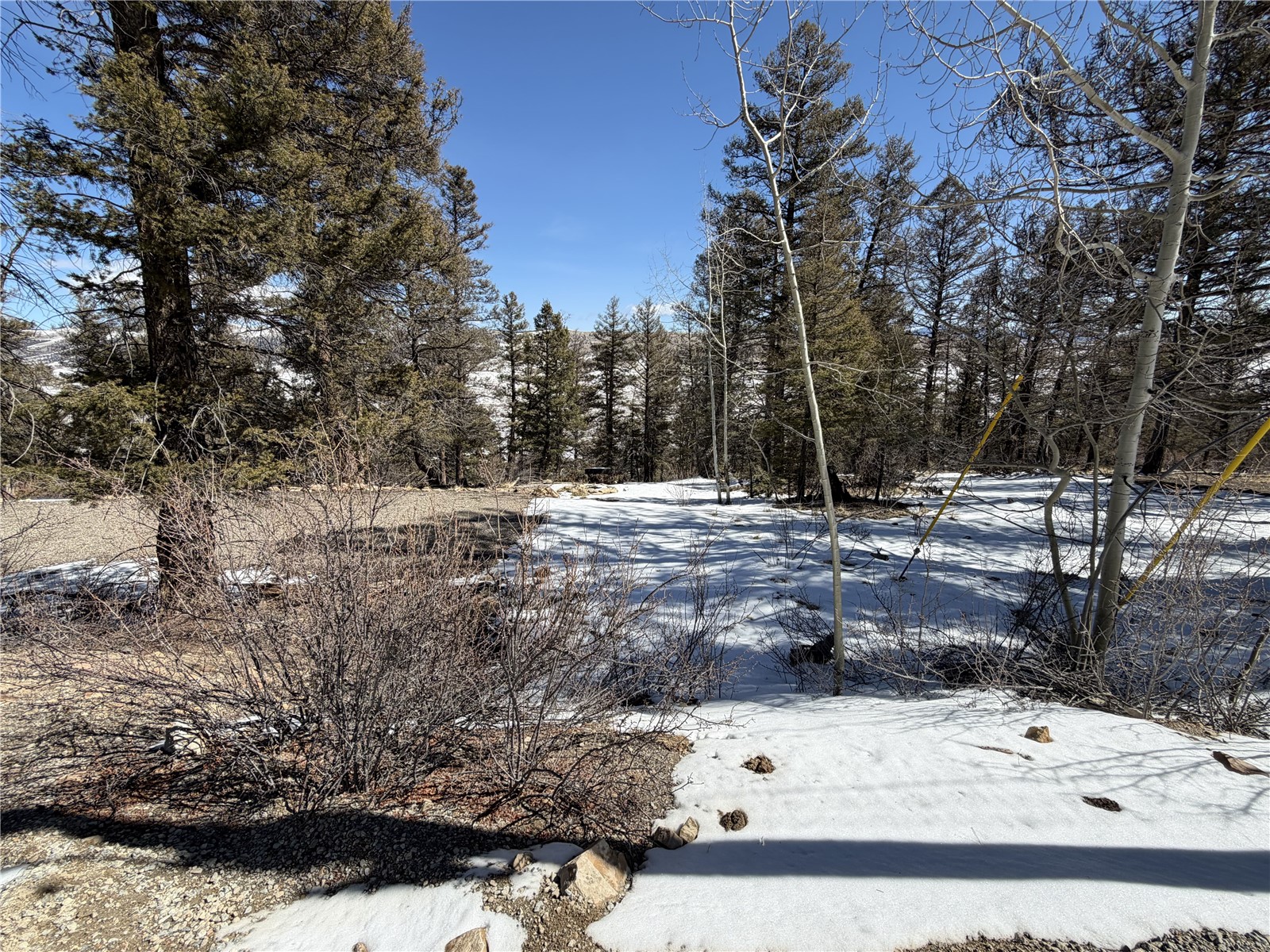 806 Middle Fork Fairplay CO 80440