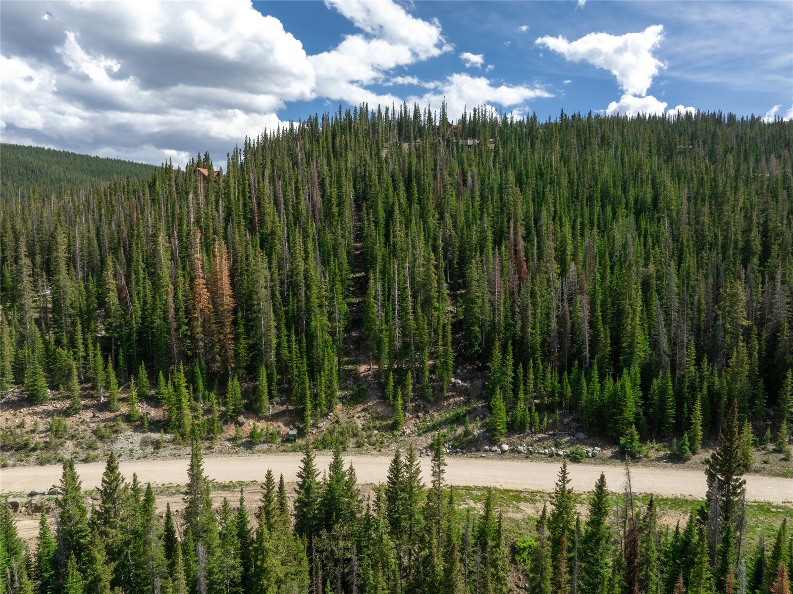 275 Cr 805 Breckenridge CO 80424