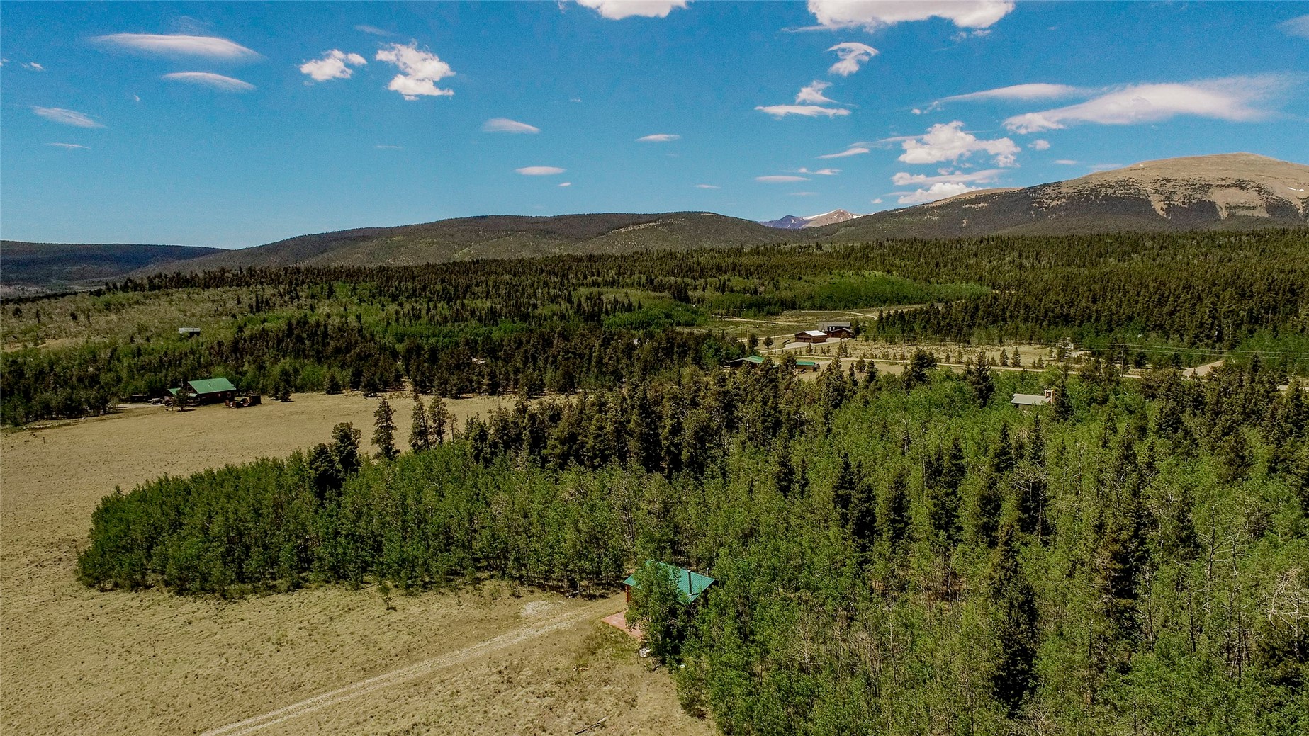 515 Wild Rye Road Fairplay CO 80440