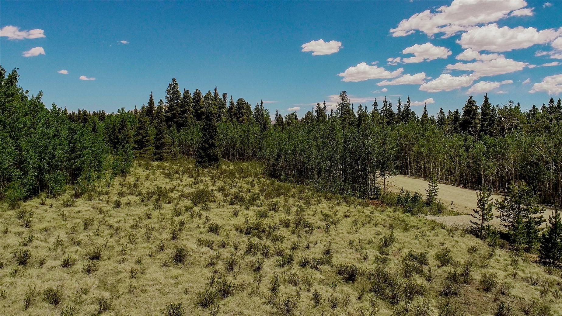 515 Wild Rye Road Fairplay CO 80440