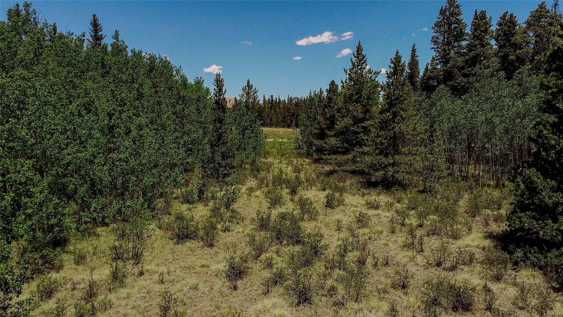515 Wild Rye Road Fairplay CO 80440