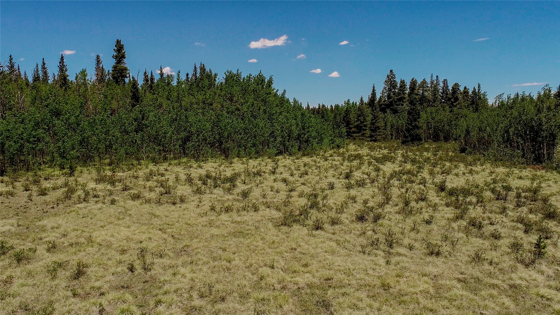 515 Wild Rye Road Fairplay CO 80440