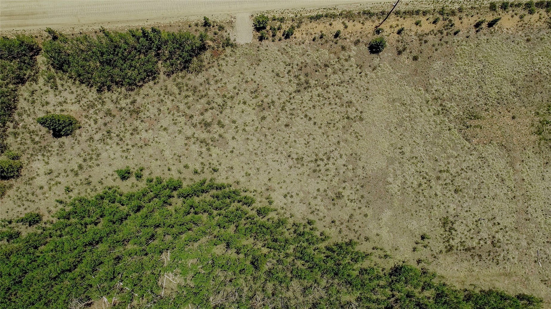 515 Wild Rye Road Fairplay CO 80440