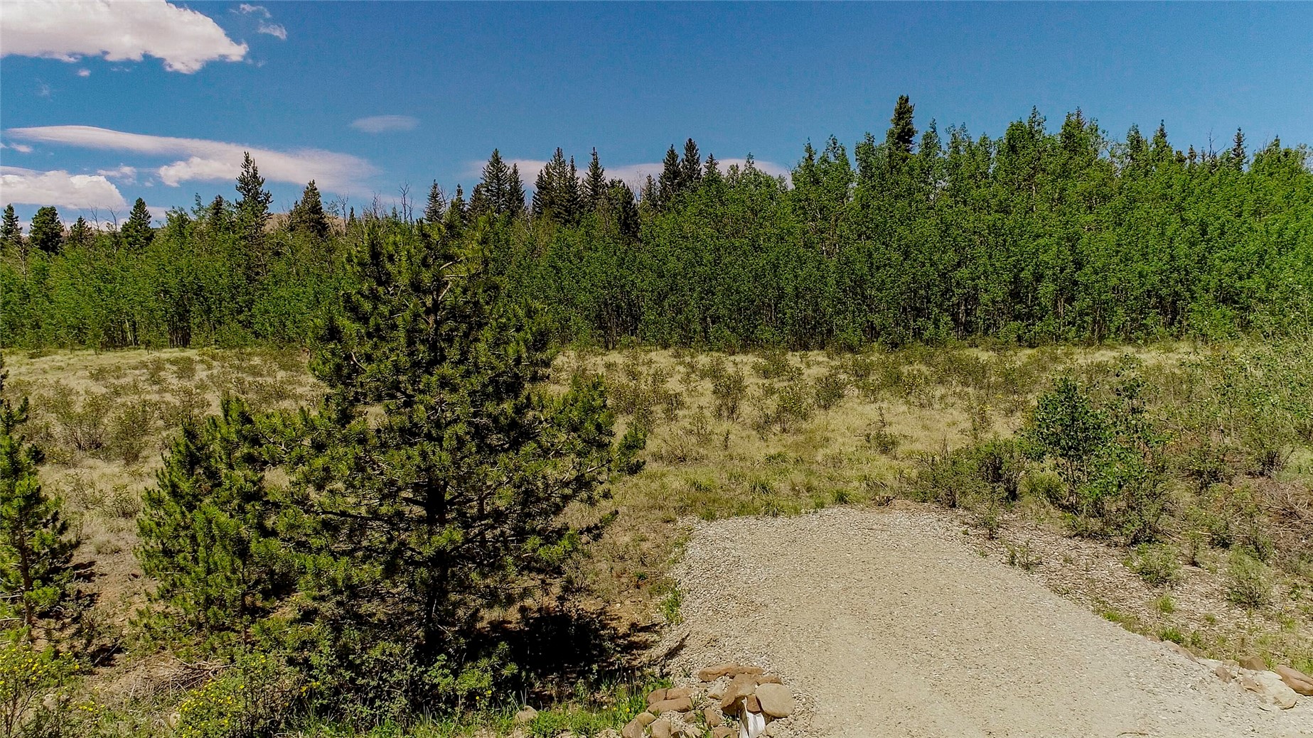 515 Wild Rye Road Fairplay CO 80440