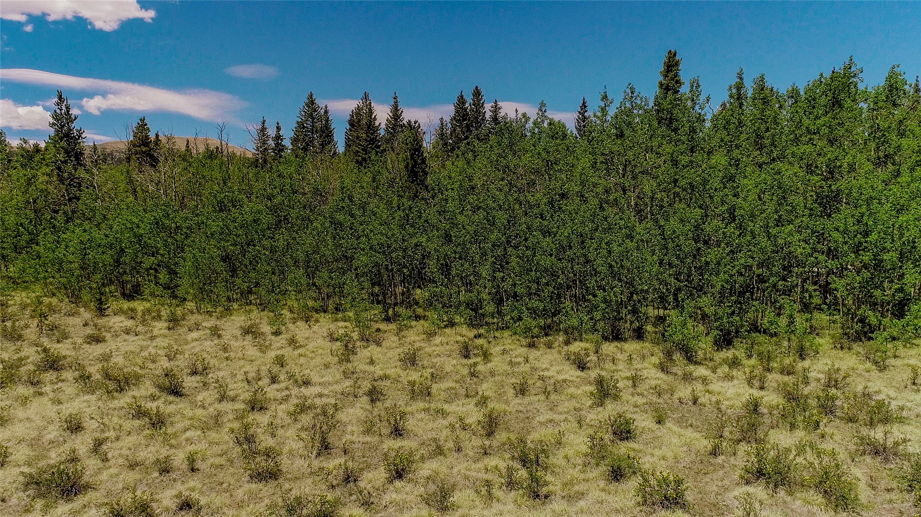 515 Wild Rye Road Fairplay CO 80440