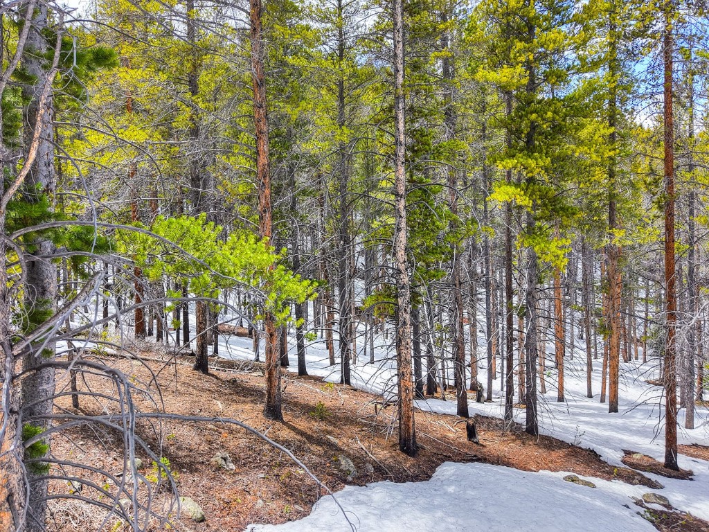779 Gold King Way Breckenridge CO 80424