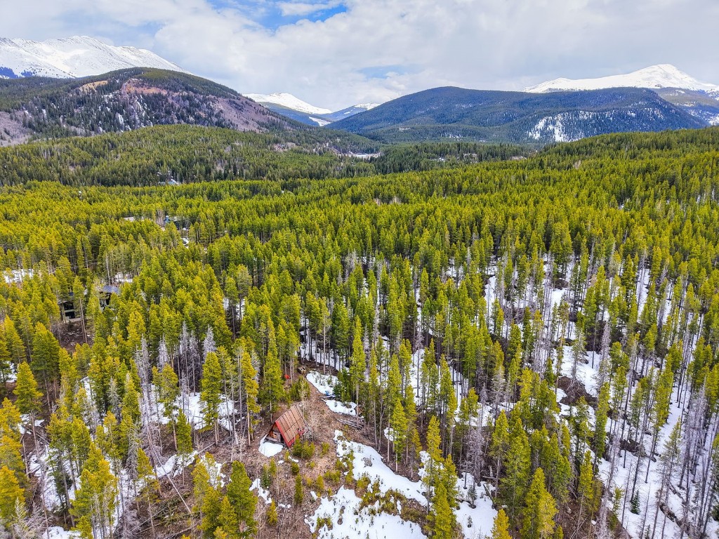 779 Gold King Way Breckenridge CO 80424