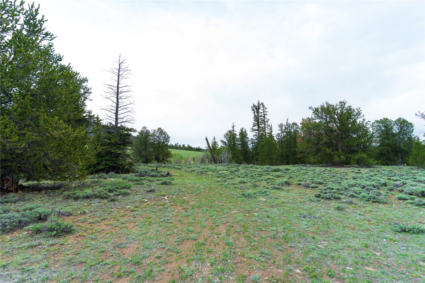2662 Willow Creek Lane Fairplay CO 80440