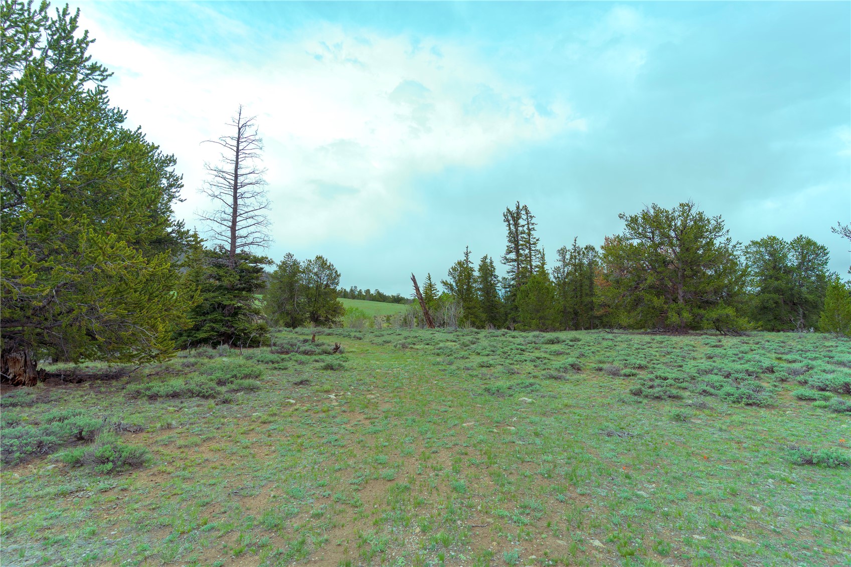 2662 Willow Creek Lane Fairplay CO 80440