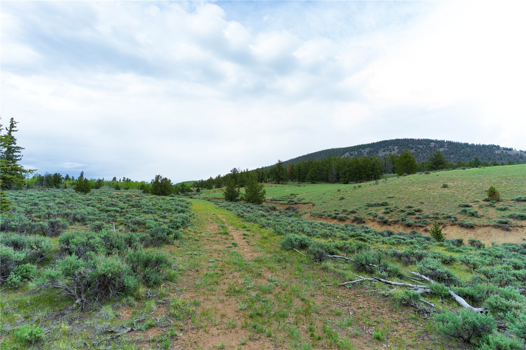 2662 Willow Creek Lane Fairplay CO 80440