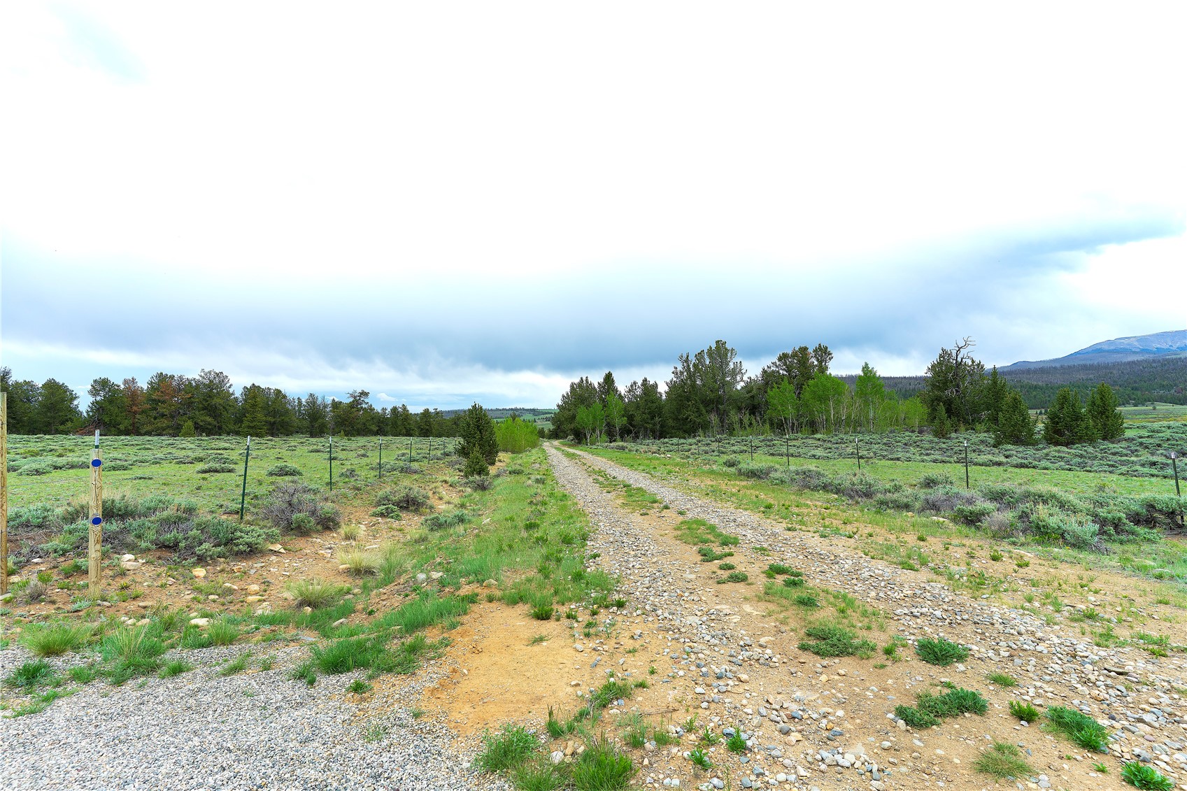 2662 Willow Creek Lane Fairplay CO 80440