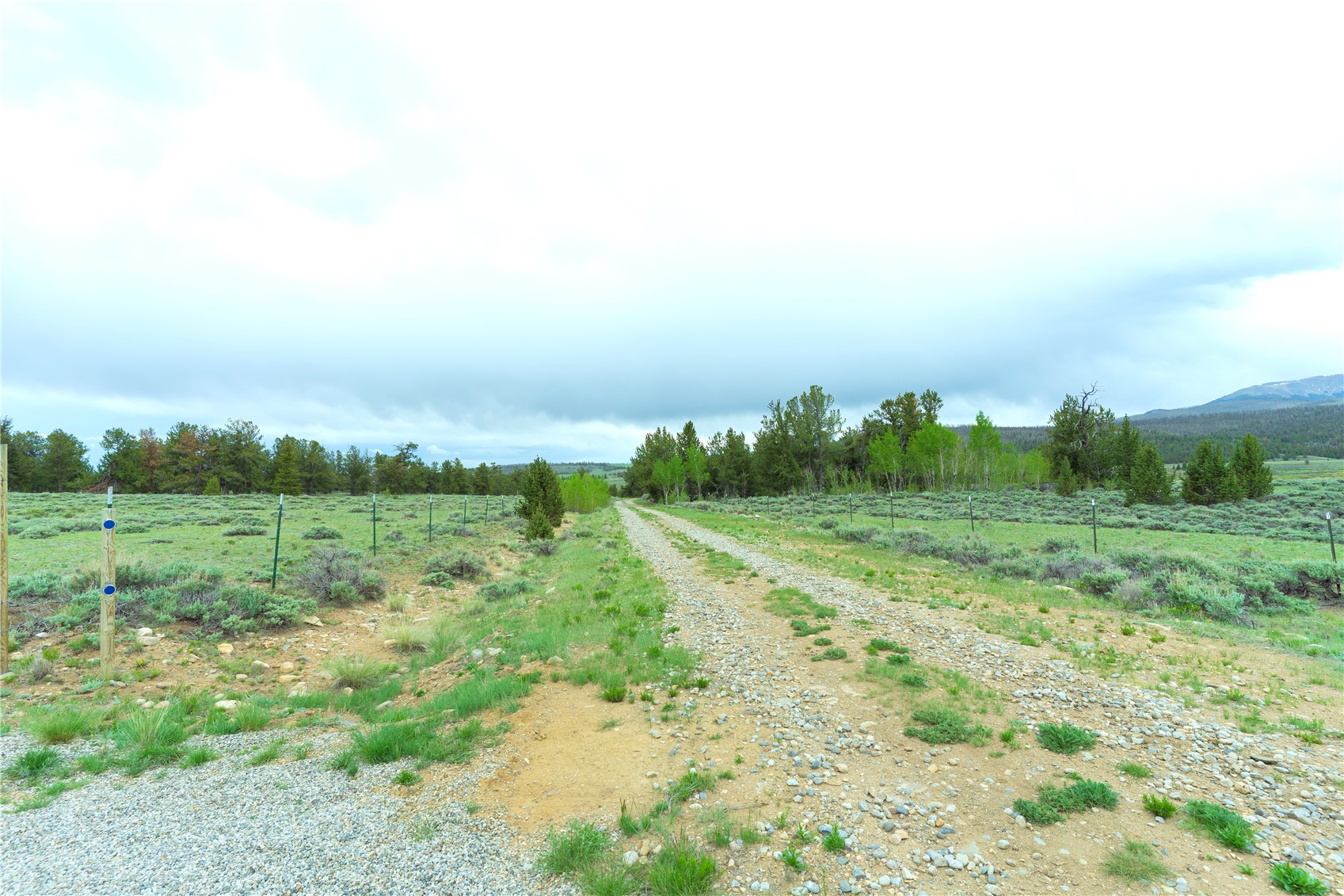 2662 Willow Creek Lane Fairplay CO 80440