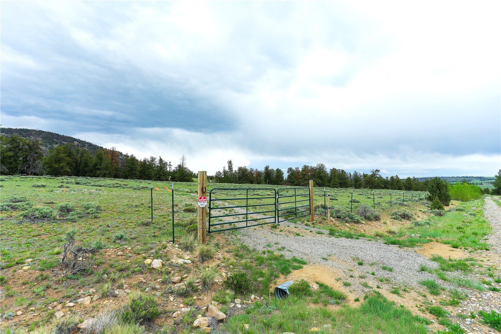 2662 Willow Creek Lane Fairplay CO 80440