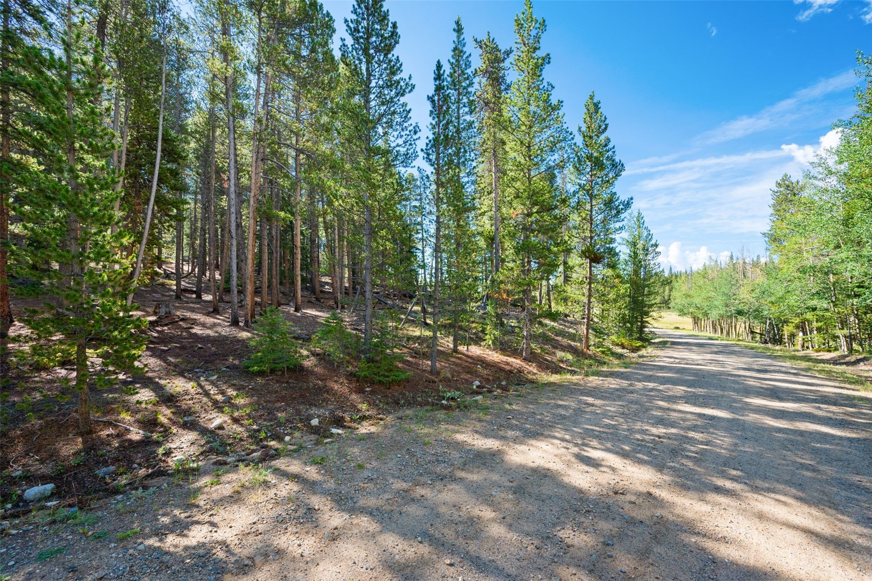 422 Rollies Trail Fairplay CO 80440