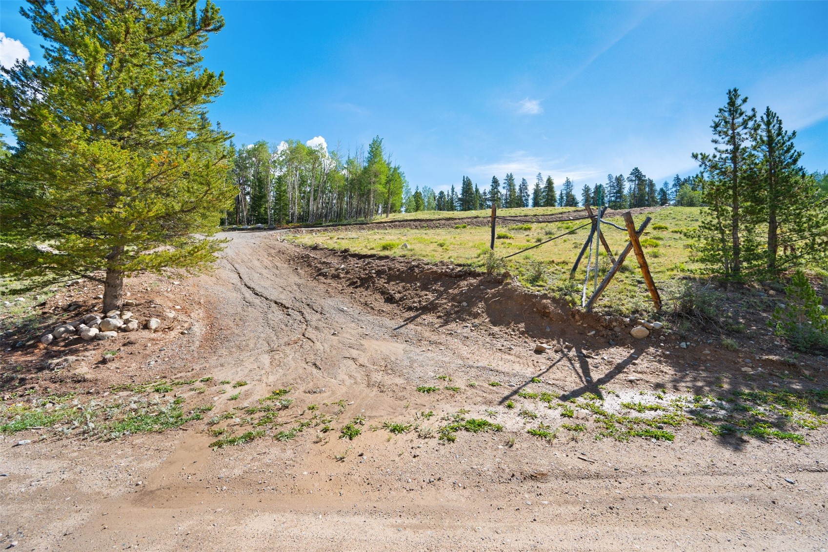 422 Rollies Trail Fairplay CO 80440