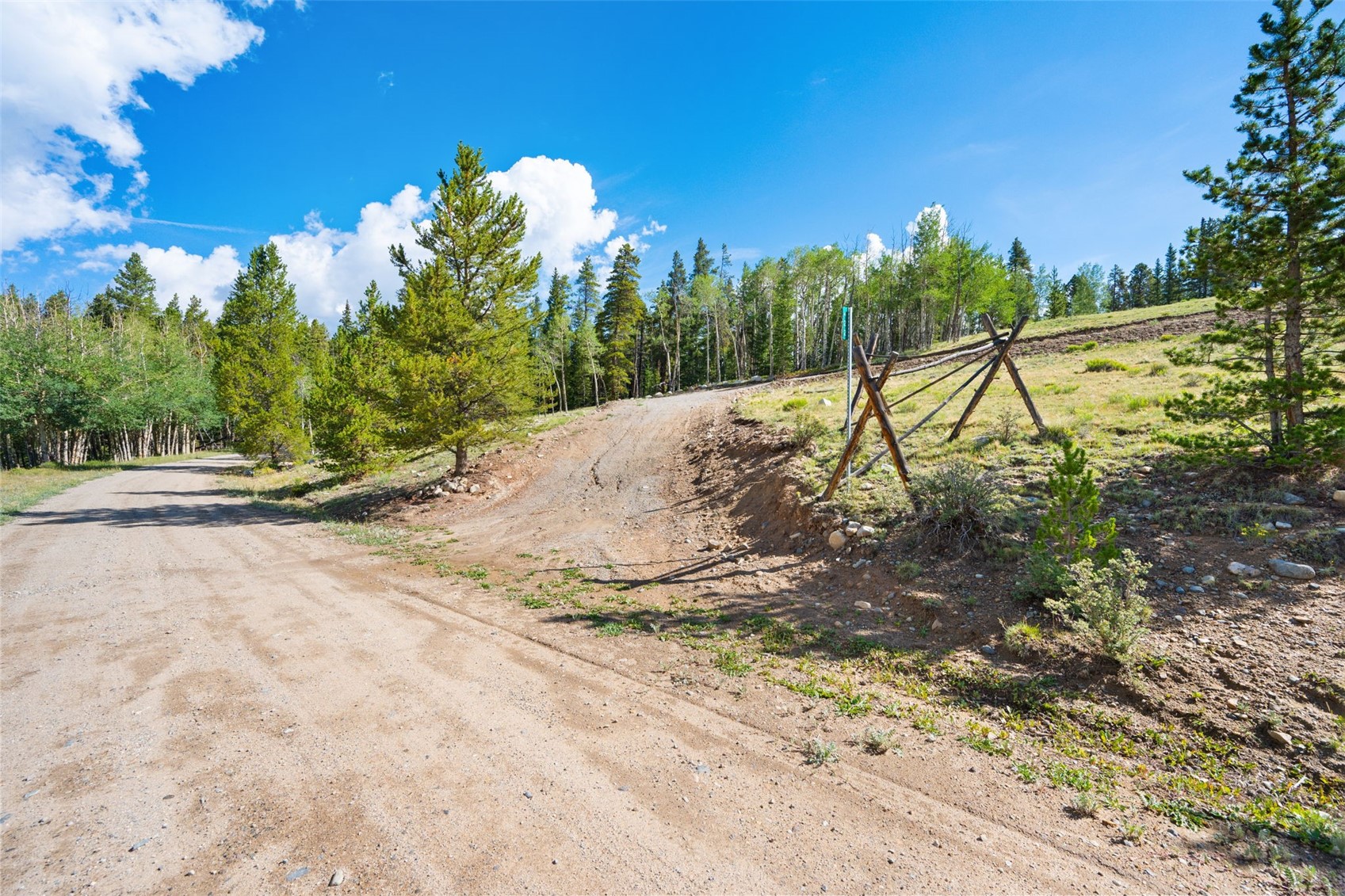 422 Rollies Trail Fairplay CO 80440