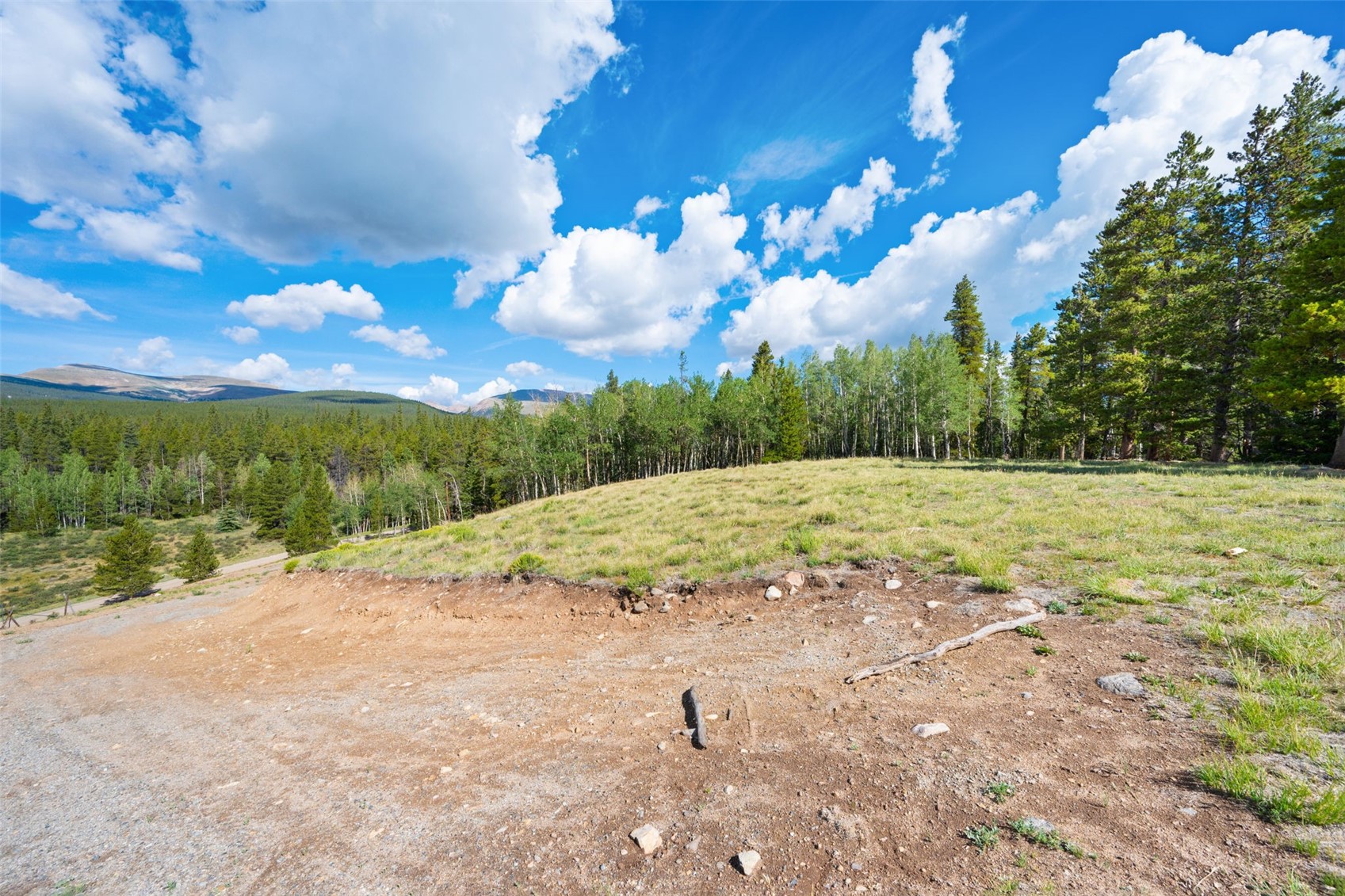 422 Rollies Trail Fairplay CO 80440