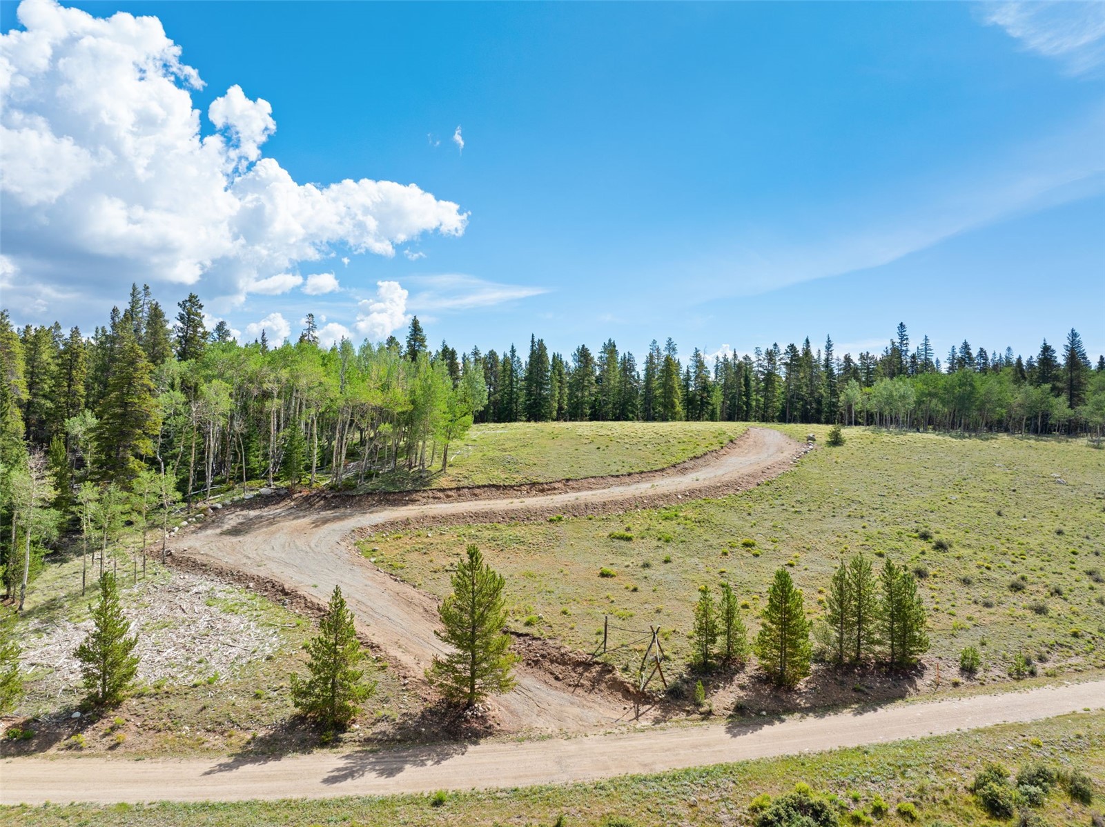 422 Rollies Trail Fairplay CO 80440