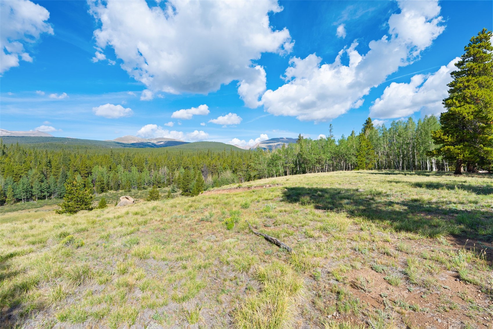 422 Rollies Trail Fairplay CO 80440