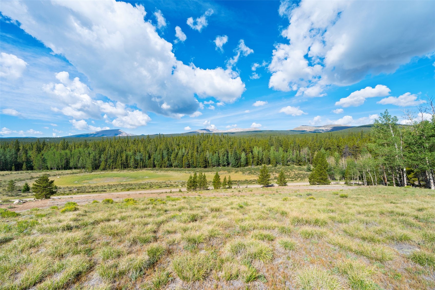 422 Rollies Trail Fairplay CO 80440