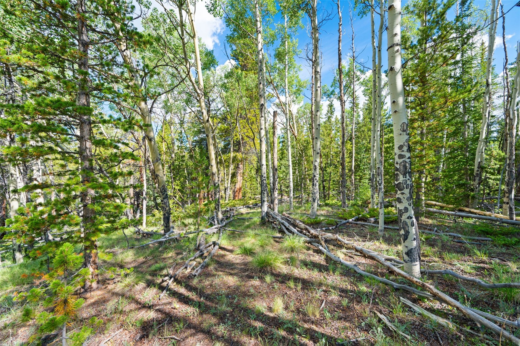 422 Rollies Trail Fairplay CO 80440