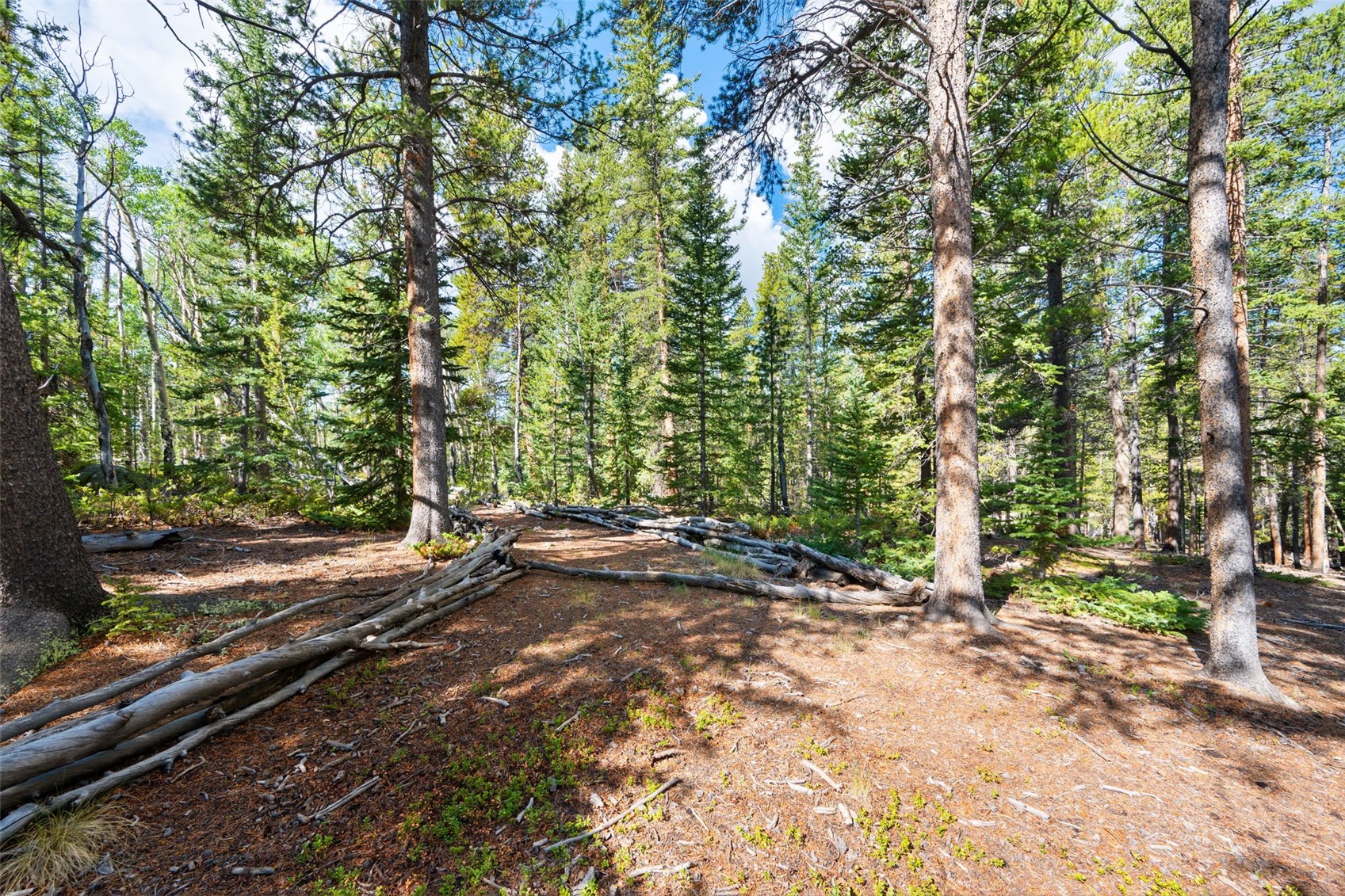 422 Rollies Trail Fairplay CO 80440