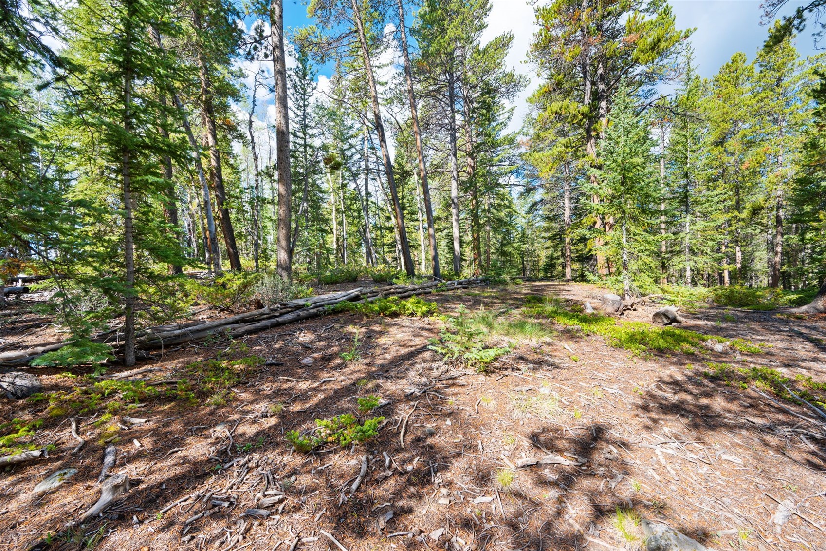 422 Rollies Trail Fairplay CO 80440